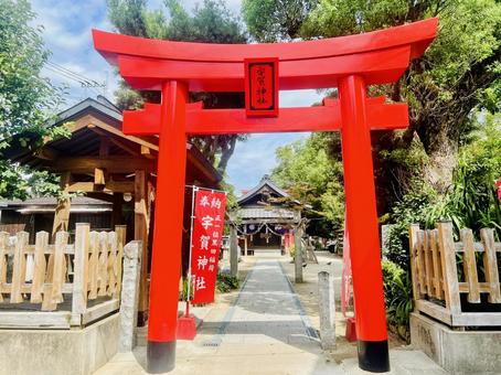 宇賀神社 宇賀神社 宇賀神社,黒田稲荷,神社の写真素材