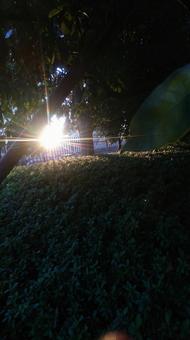 新宿から見た初日の出の写真