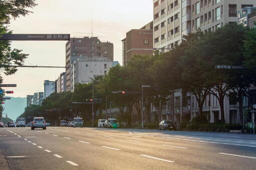 京都の都市景観、広々とした御池通 京都,御池通,大通りの写真素材