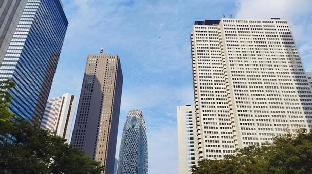 新宿の高層ビル群と青空を見上げる 新宿の高層ビル群と青空を見上げる 高層ビル,ビル,オフィスビルの写真素材