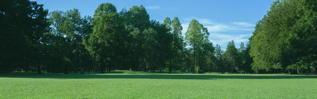 緑の公園　バナー素材 木,森,緑の写真素材