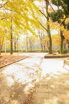 陽だまりの写真