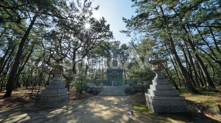 虹ノ松原を散策 虹の松原,佐賀,唐津の写真素材