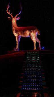 ゆりの里公園ライトアップの写真