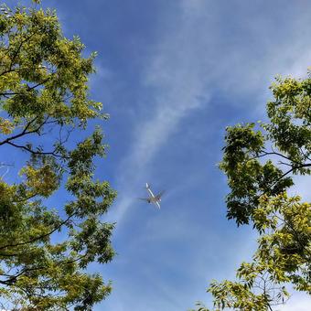 青空 青空 福岡,舞鶴公園,夏の写真素材
