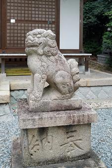 パワースポット宝塚市 皇太神社⑯狛犬阿形 パワースポット宝塚市 皇太神社⑯狛犬阿形の写真