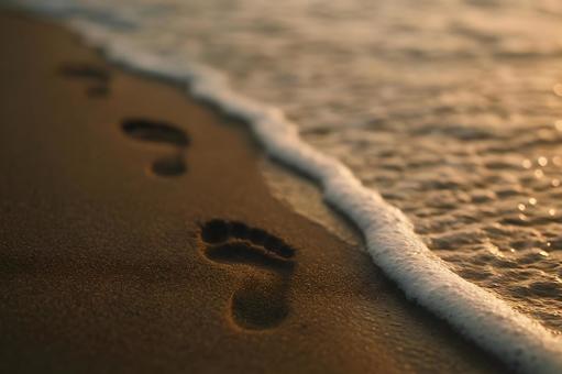 夕暮れ足跡の写真