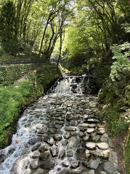 緑に囲まれた砂防堰堤 緑に囲まれた砂防堰堤 砂防堰堤,緑豊か,山の写真素材