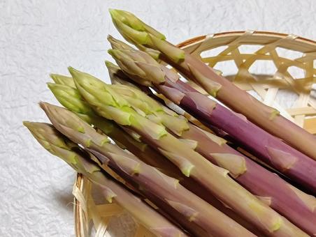 紫アスパラ アスパラガス,紫色,野菜の写真素材