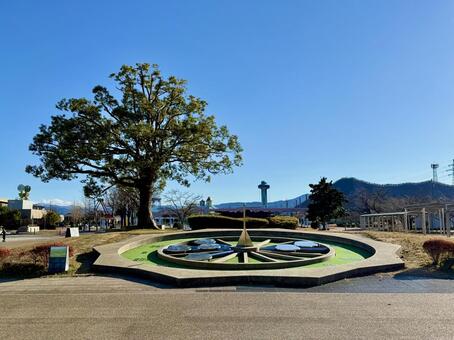 冬の武生中央公園　エントランス 冬,武生中央公園,大木の写真素材