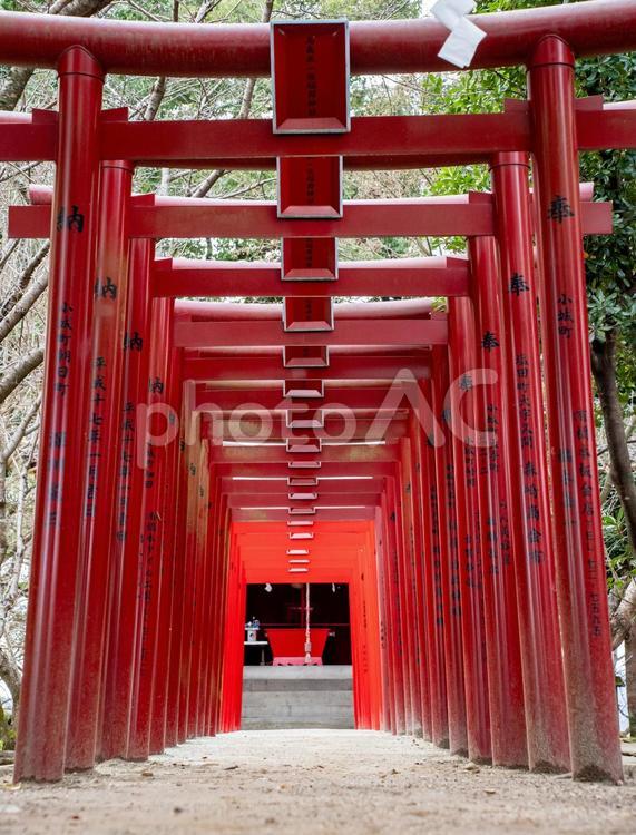 小城公園・岡山神社 岡山神社,神社,狛犬の写真素材