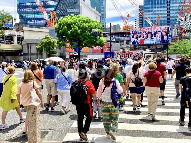 パワフルに　日本を遊べ外国人 スクランブル交差点,渋谷,shibuyaの写真素材