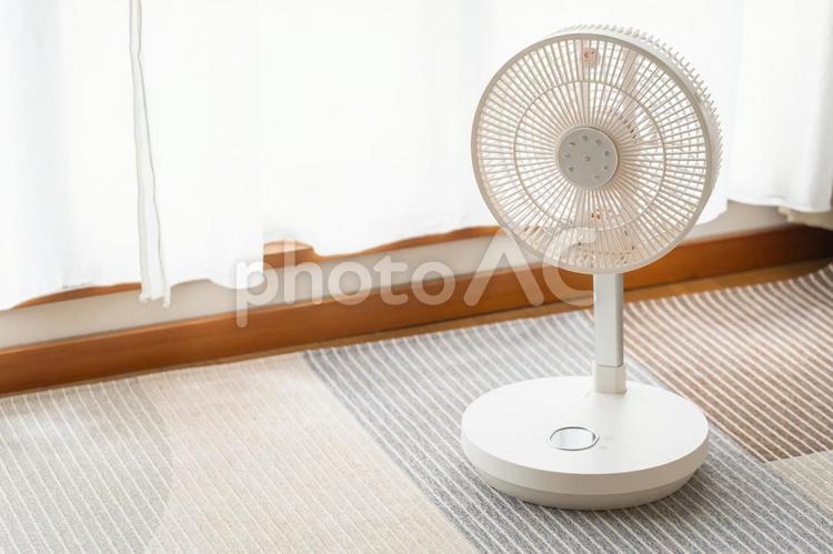 涼しげな白い扇風機がある生活風景 扇風機,家電,夏の写真素材