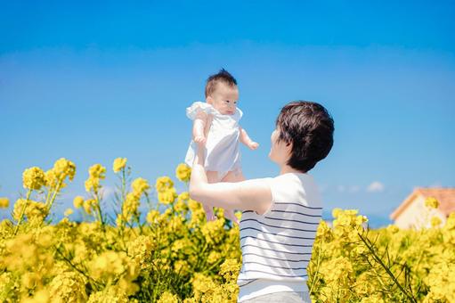 菜の花畑と親子 母親,赤ちゃん,親子の写真素材