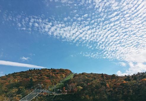 うろこ雲の写真