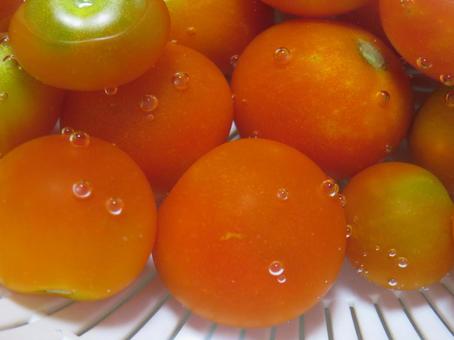 Cherry Tomato, JPG