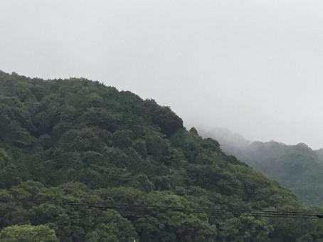 雨上がりの早朝 雨上がりの早朝の写真