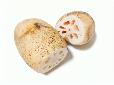 レンコン レンコン レンコン,れんこん,蓮根の写真素材