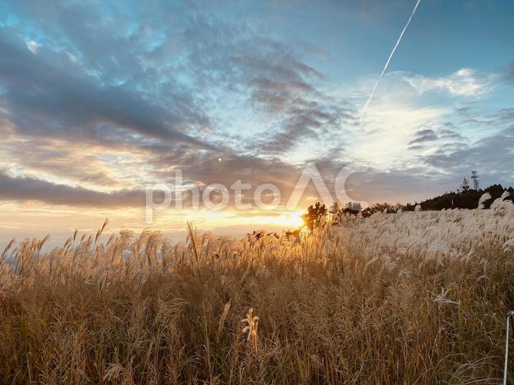 すすき　夕日　秋の風景５ すすき,夕日,ススキの写真素材