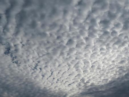 ひつじ雲 ひつじ雲,雲,高積雲の写真素材