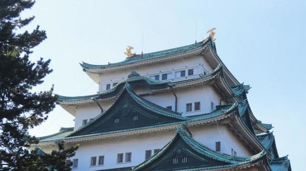 名古屋城　天守　大天守 名古屋城,尾張徳川家,御三家の写真素材