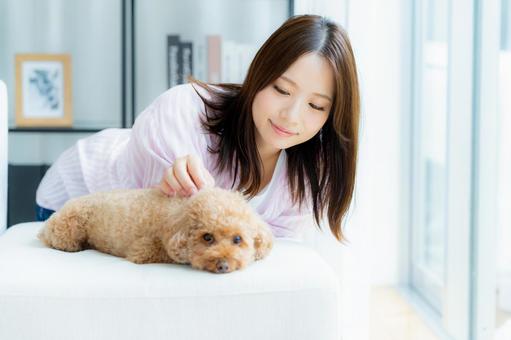 部屋でペットとくつろぐ若い女性 部屋でペットとくつろぐ若い女性 ペット,女性,犬の写真素材