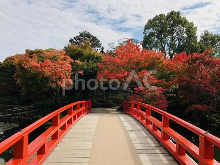 紅葉　もみじ　秋　由志園 季節,景色,自然の写真素材