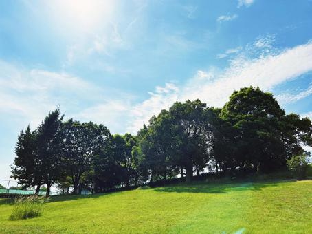爽やかな空模様と公園の木々 爽やかな空模様と公園の木々 空模様,空,雲の写真素材