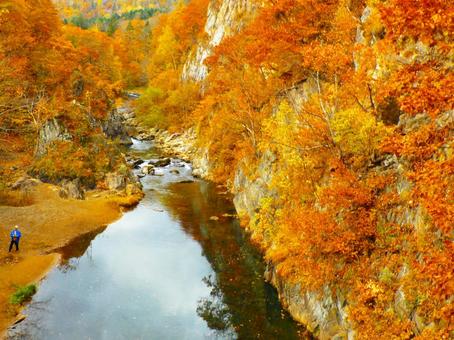 晩秋の定山渓温泉 定山渓温泉,秋,二見吊り橋の写真素材