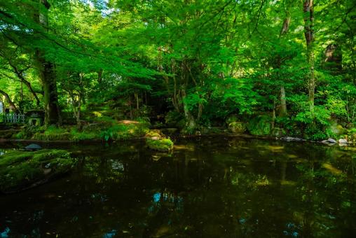 【岐阜】岐阜公園 2025 【岐阜】岐阜公園 2025の写真