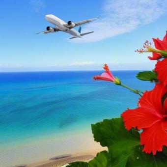 ジェット旅客機で旅立つ楽しい南国旅行 ジェット旅客機で旅立つ楽しい南国旅行の写真