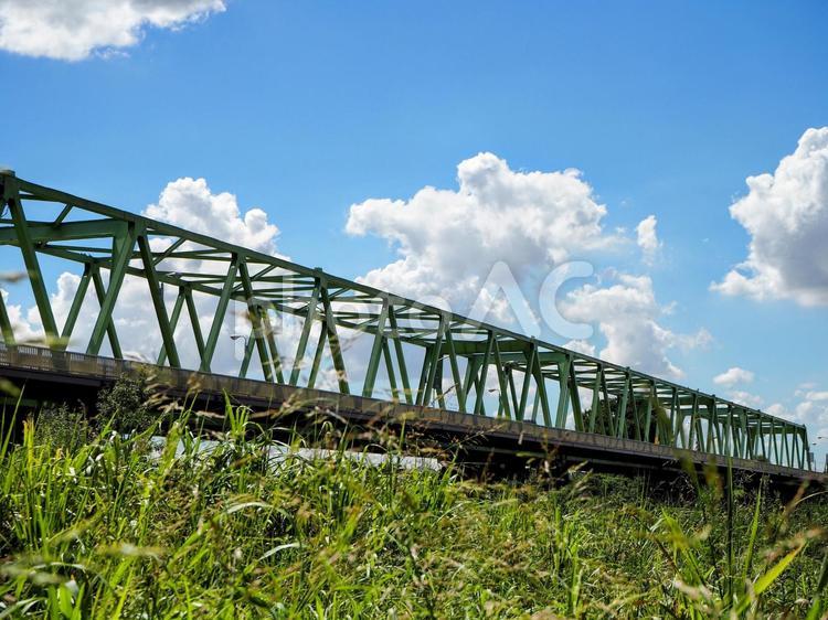 鬼怒川に架かる豊水橋＆夏草・茨城県常総市 夏,豊水橋,鬼怒川の写真素材