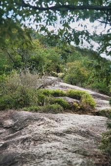 高御位山 播磨平野,山岳,平野の写真素材