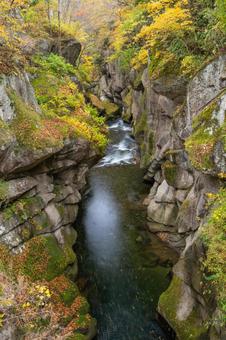 秋の磊々峡⑸ 秋,紅葉,磊々峡の写真素材