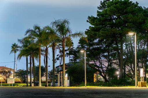 夜の宮崎ポートパーク 夜の宮崎ポートパーク 公園,夜景,夜の写真素材