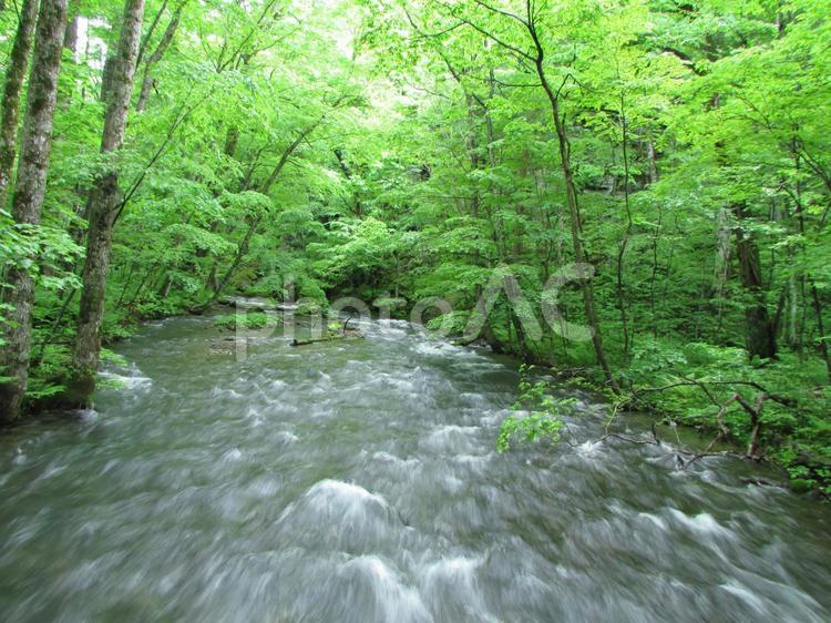 奥入瀬渓流（2021年5月） 青森県,秋田県,十和田湖の写真素材