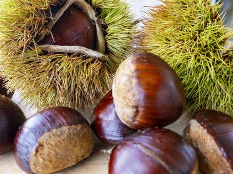 Autumn flavors: chestnuts and chestnut burrs, JPG