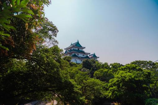 【和歌山】和歌山城 2025 【和歌山】和歌山城 2025の写真