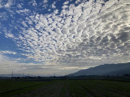 秋の日の高積雲 秋の日の高積雲の写真