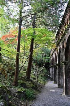 秋の南禅寺水路閣 南禅寺,南禅寺水路閣,水路閣の写真素材
