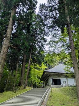 中尊寺金色堂 中尊寺,金色堂,平泉の写真素材