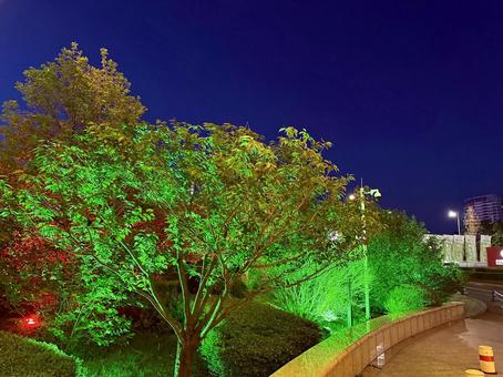 翠が綺麗なホテル前 中国,丹東,海外の写真素材