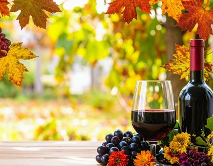 紅葉の下でグラスワインとブドウのイメージ 紅葉の下でグラスワインとブドウのイメージの写真