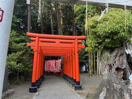 常磐稲荷神社 常磐稲荷神社,水戸,偕楽園の写真素材