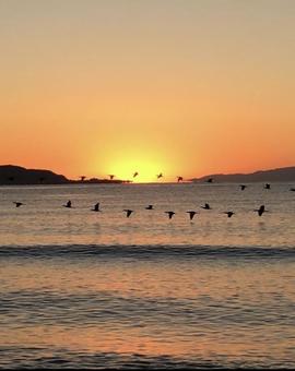 Photo, sunset, tateyama city minato, north coast, 