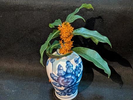 紹興酒の空きボトルに挿したキンモクセイ 金木犀,キンモクセイ,空き瓶の写真素材