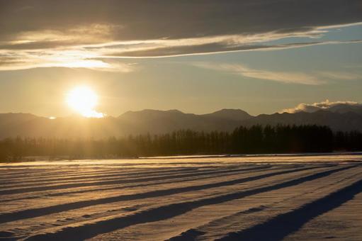 Fields in the dead of winter at dusk, JPG