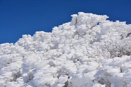 芸術的なエビのしっぽと快晴の空 エビの尻尾,霧氷,氷点下の写真素材