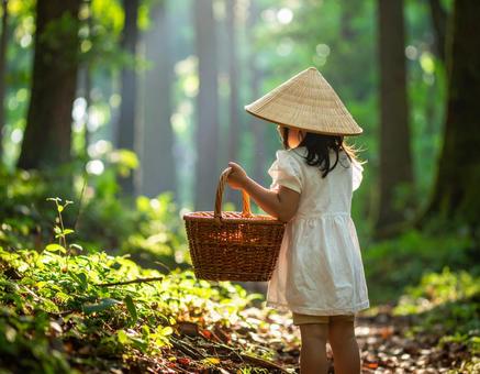 森を歩く子 森を歩く子の写真