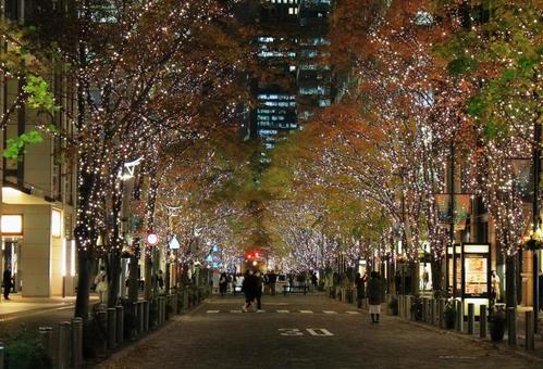 丸の内のイルミネーション 丸の内のイルミネーション イルミネーション,夜景,夜の写真素材